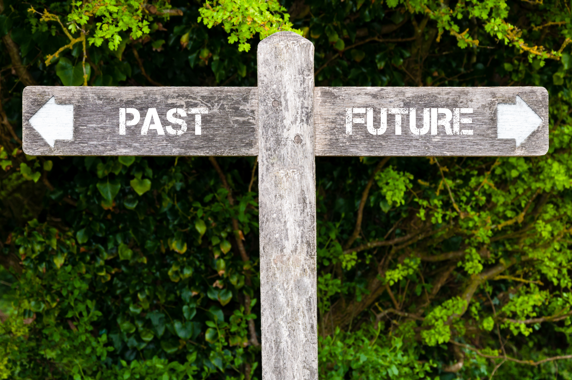 A wooden signpost pointing the way